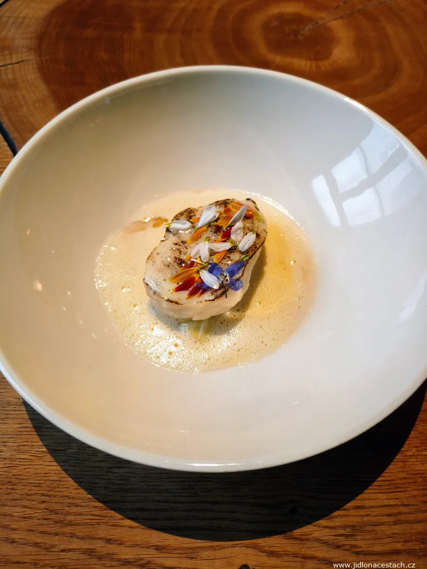 La Degustation Bohême Bourgeoise Restaurant: catfish, cabbage, wild garlic (tasting menu, November 2025). La Degustation Bohême Bourgeoise Restaurant: catfish, cabbage, wild garlic (tasting menu, November 2025).